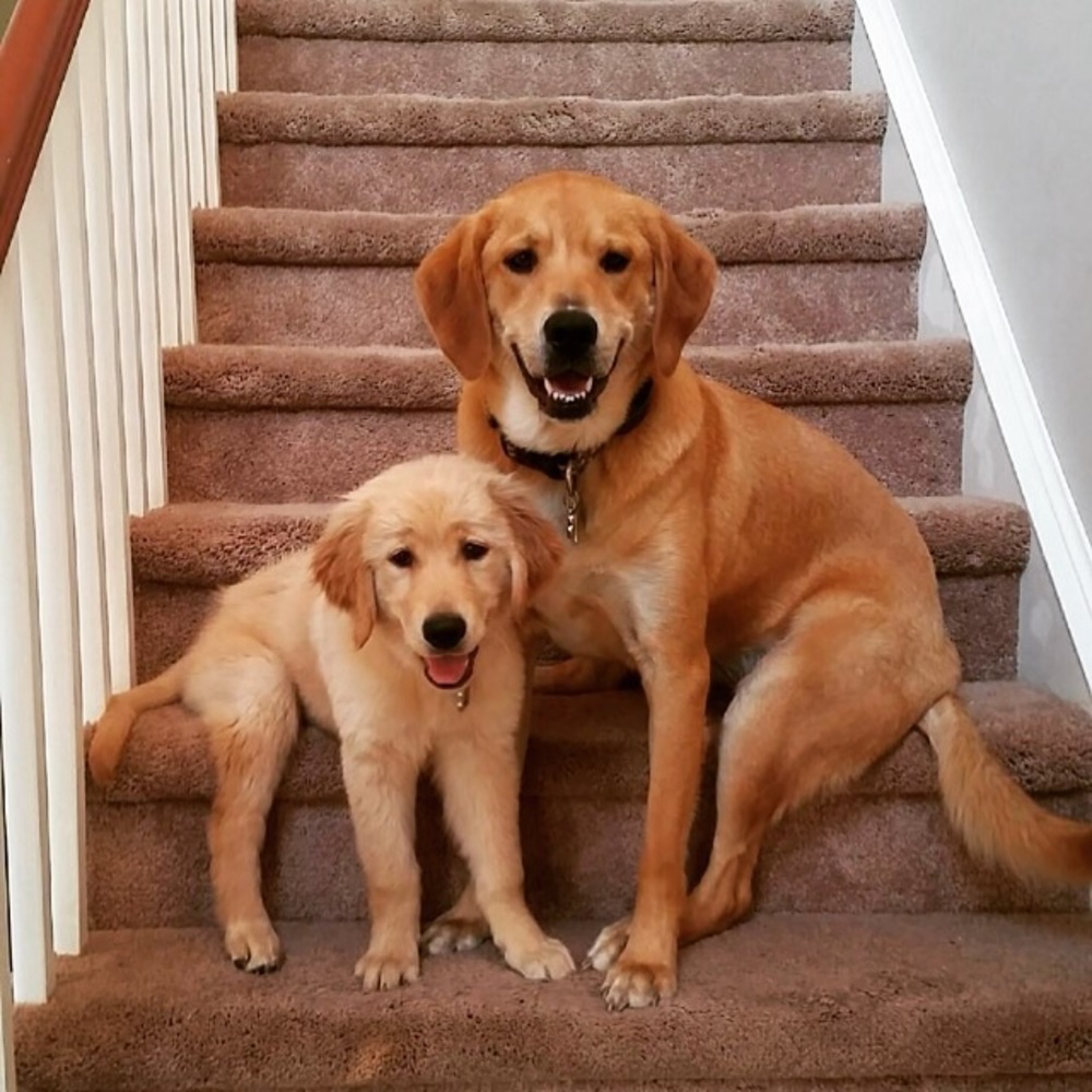 Meet your Posher, Ali